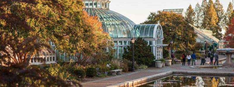 Brooklyn Botanic Garden