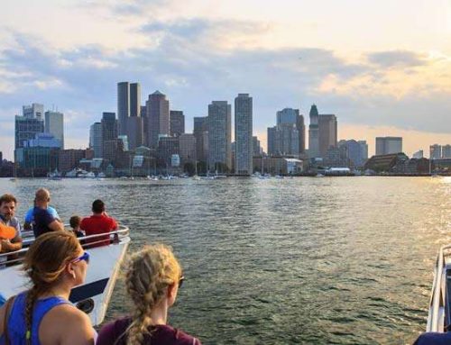 Avistamiento de ballenas en Boston: guía completa y recomendaciones