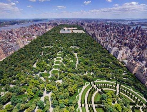 ¿Cuánto mide Central Park? Datos, tamaño y 15 curiosidades que debes saber