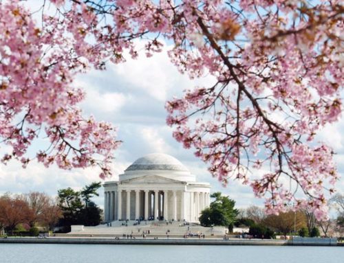 Qué hacer en Washington DC durante la primavera