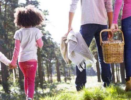 10 actividades gratis en Washington DC para disfrutar en familia