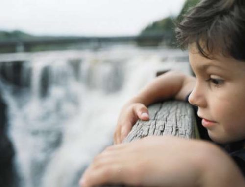 Actividades para disfrutar en familia en las Cataratas del Niágara