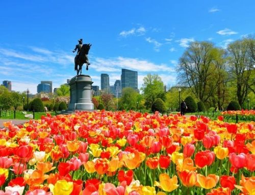 Guía para disfrutar Boston durante la primavera