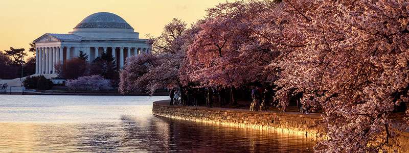 4 de Julio en Washington D.C.