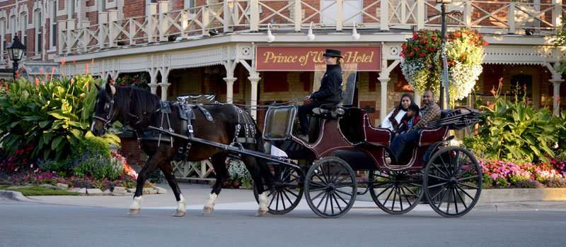 Un día romántico en Niágara