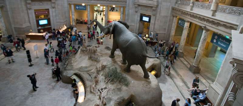 Museos en El Smithsonian en Washington DC