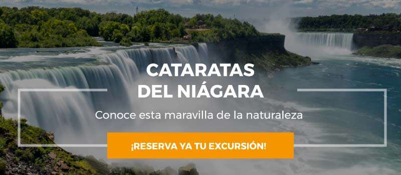 cta niagara