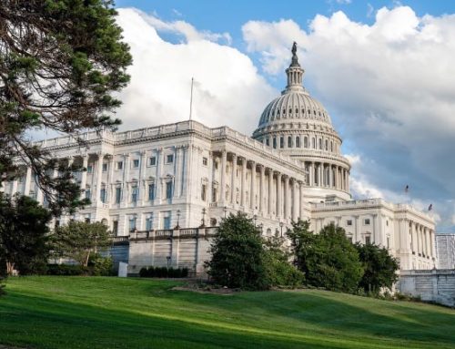 Mejores actividades para disfrutar del verano en Washington DC