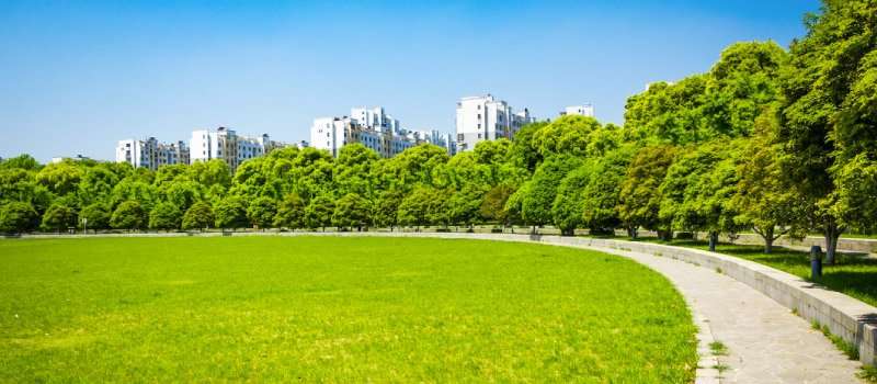 lugares imperdibles de Nueva York