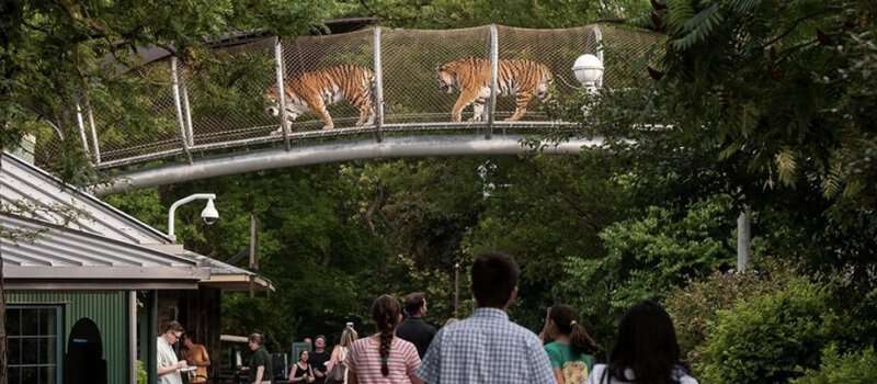 Zoológico de Filadelfia: Cosas que Hacer en
