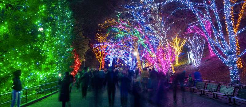 que hacer en navidad en washington