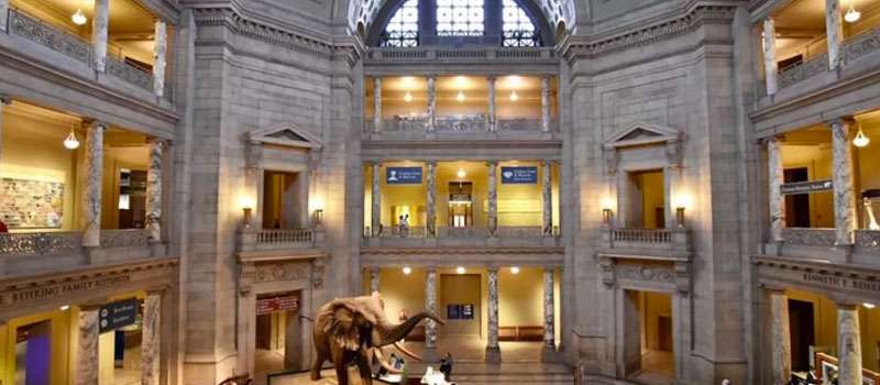 museo navidad washington