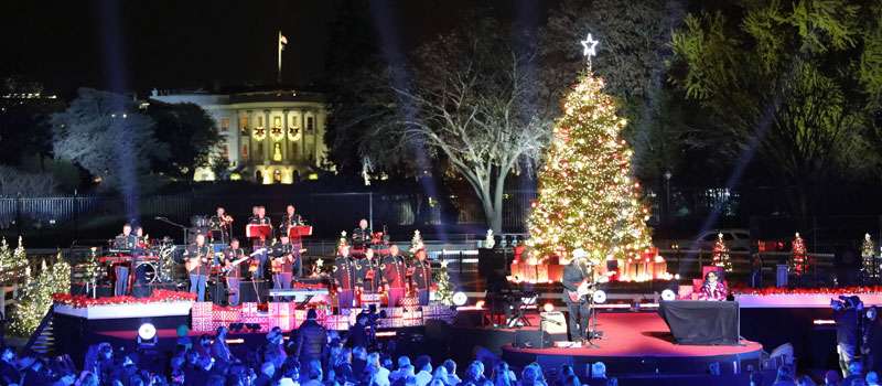 actividades navidad washington