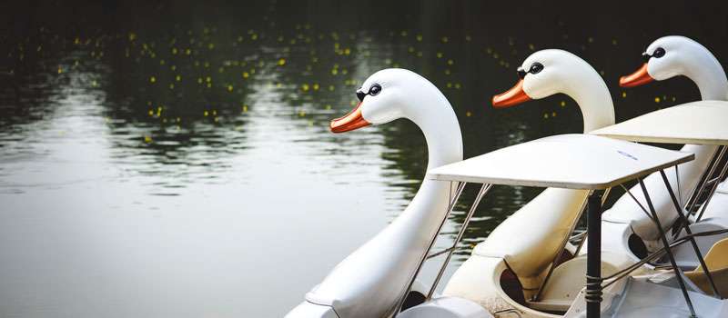 planes san valentin boston