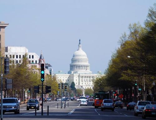 ¿Cómo Ir de Nueva York a Washington? La Guía Definitiva 2025 con Precios y Consejos
