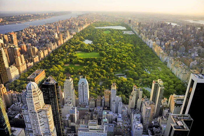 tour en español por manhattan