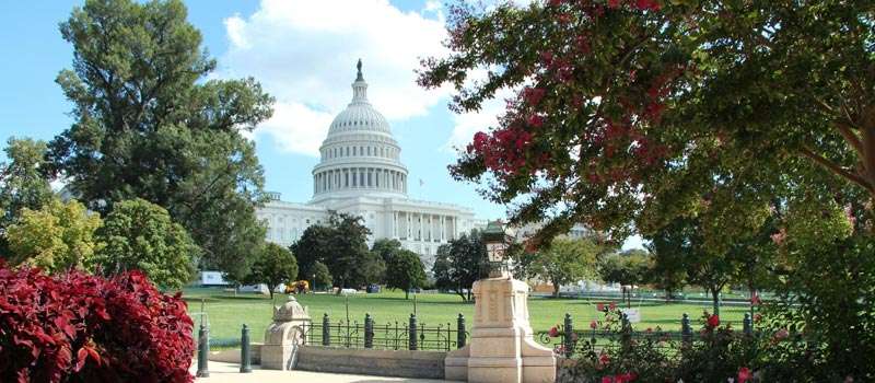 mejor temporada para visitar Washington DC