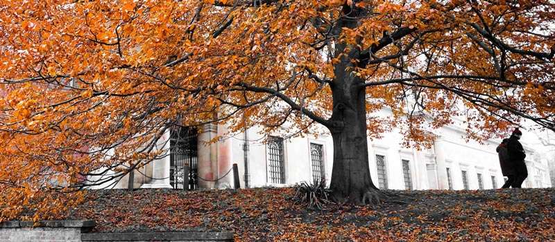 mejor época para visitar Washington