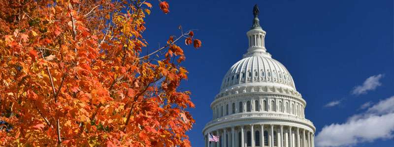 Qué hacer en Washington D.C. en otoño