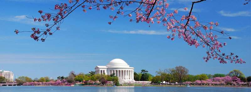 National Cherry Blossom Festival en Washington