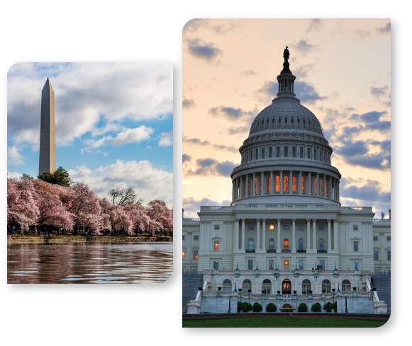 destacado DC