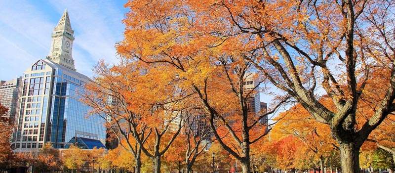 visitar boston en un día