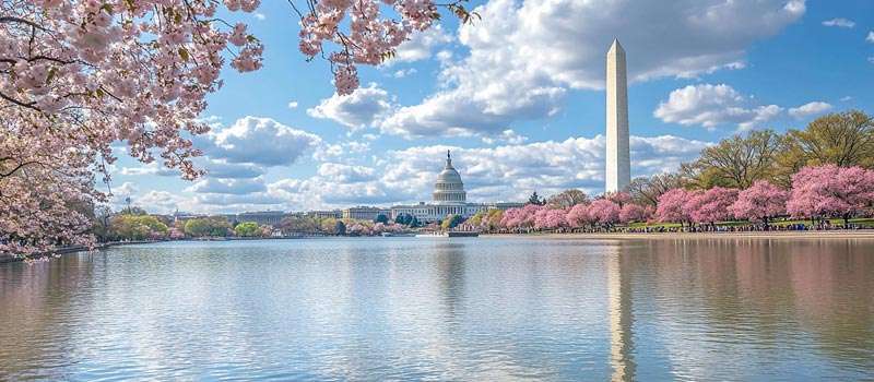 actividades en washington dc