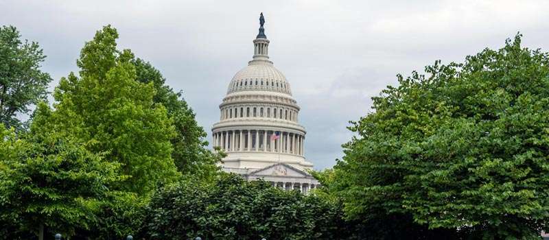 cosas que hacer en washington dc
