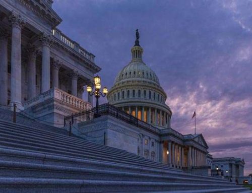 Guía completa de Washington DC: qué ver, qué hacer y cómo organizar tu viaje