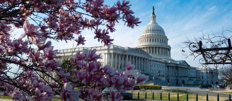 qué visitar en washington dc