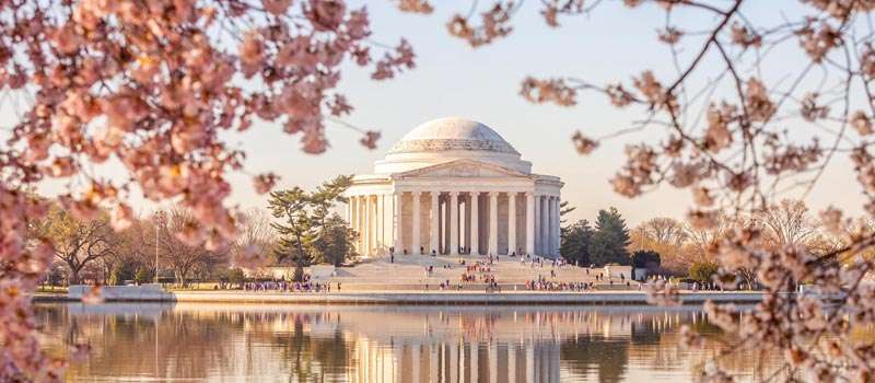 mejores actividades washington